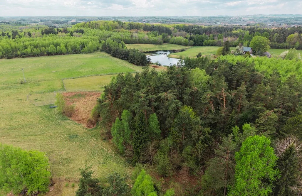 Wakacje Na Kaszubach Manna Gajowa 3
