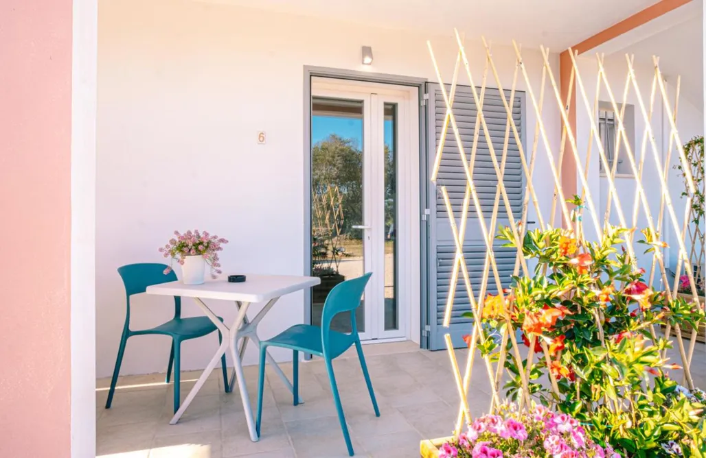 Notte di San Lorenzo 2026 💫 Agriturismo Tenuta Arbanoa 1