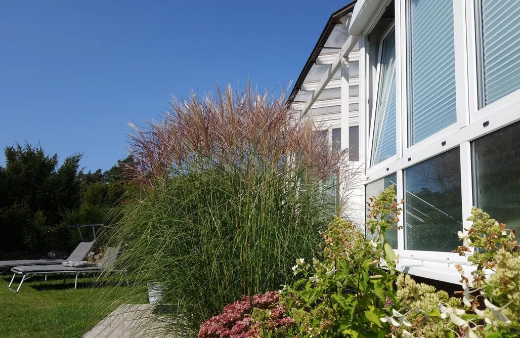 Ferienhaus direkt am Strand Ferienhaus am See mit Ruderboot 2