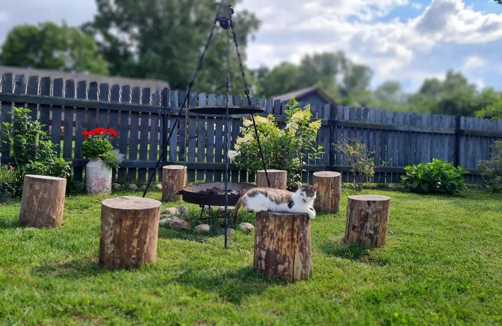 noclegi AlohaCamp Alpakowo - Wolna Chata 20 4