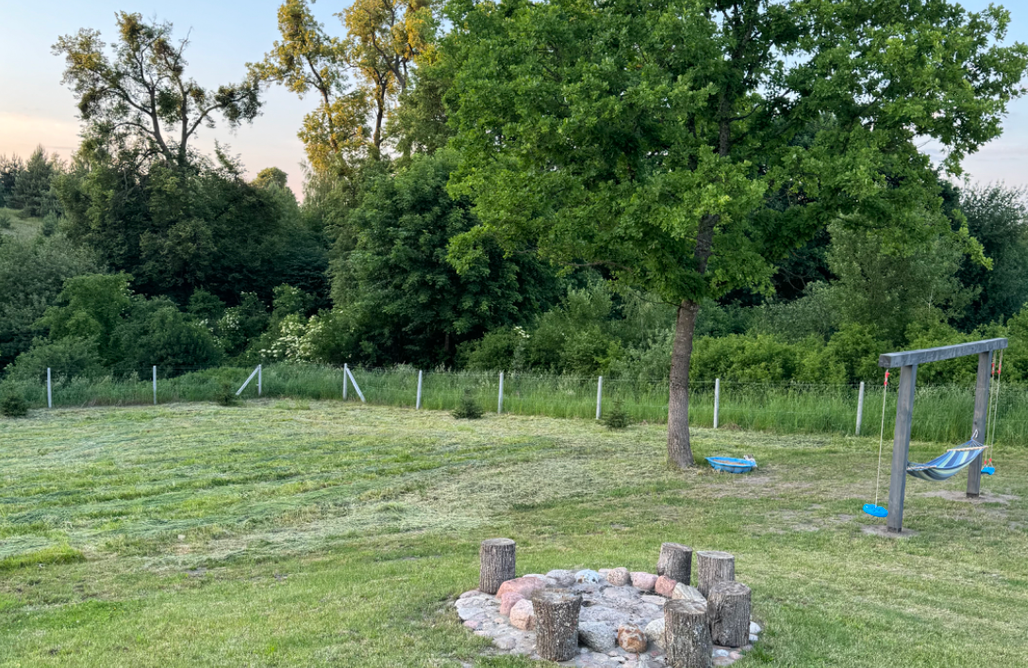 AlohaCamp Dzika Mięta  1