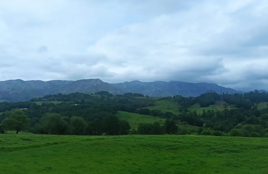 AlohaCamp La collada 1