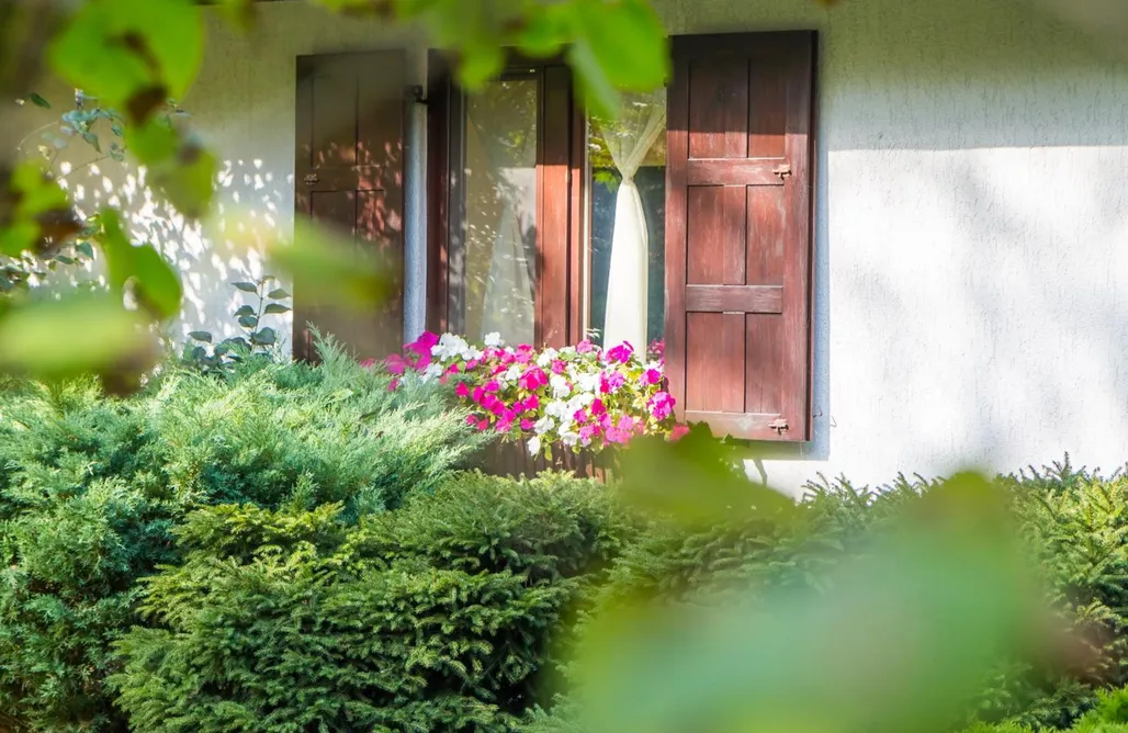 noclegi AlohaCamp Siedlisko Jagny  4