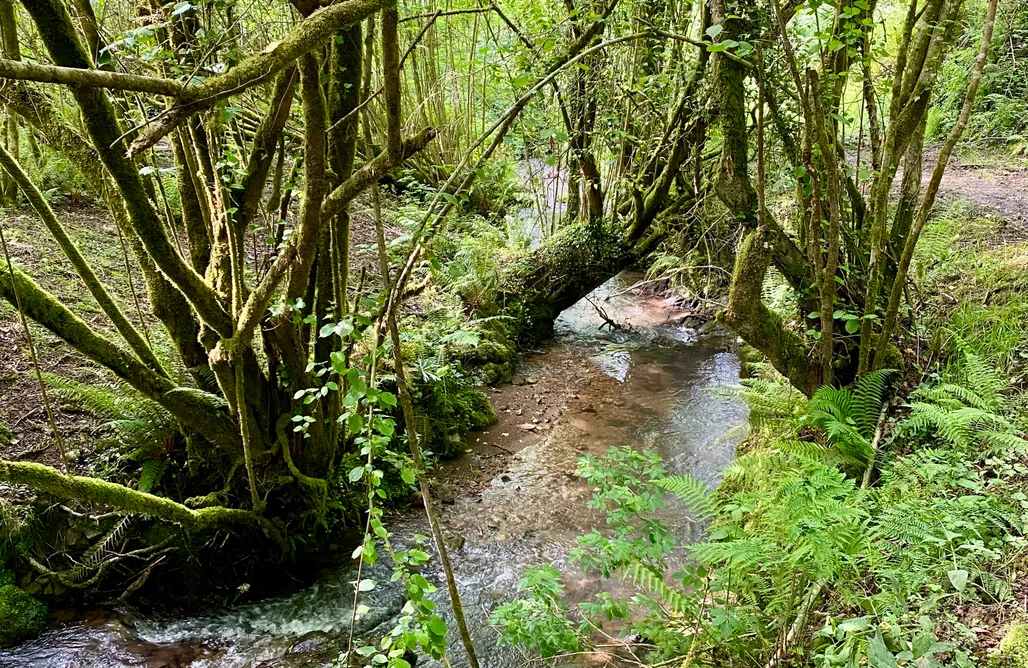 noclegi AlohaCamp La Xana del Profundu 1