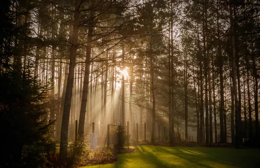 Zdjęcie obiektu Willa Leśna Strzecha