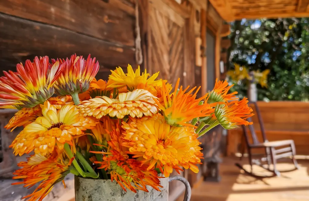 hebergement AlohaCamp Kampinski Spichlerz  5