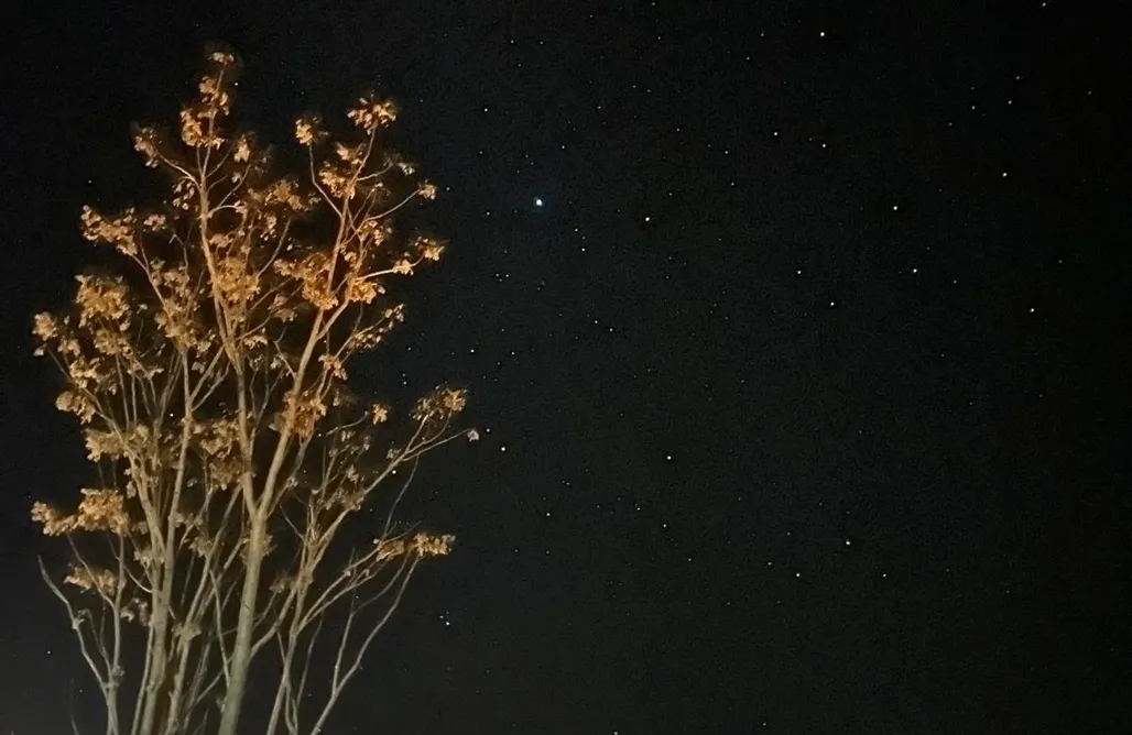 Alojamiento en Aledo Glamping Nyxia Dome Luna Llena y Nueva 1