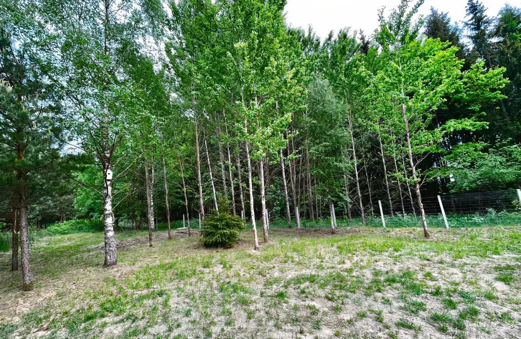 AlohaCamp accommodation Lille Bornholm 5