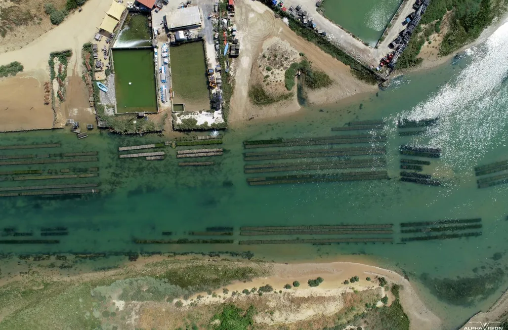 L'Essentiel - Love 5 Etoiles AlohaCamp