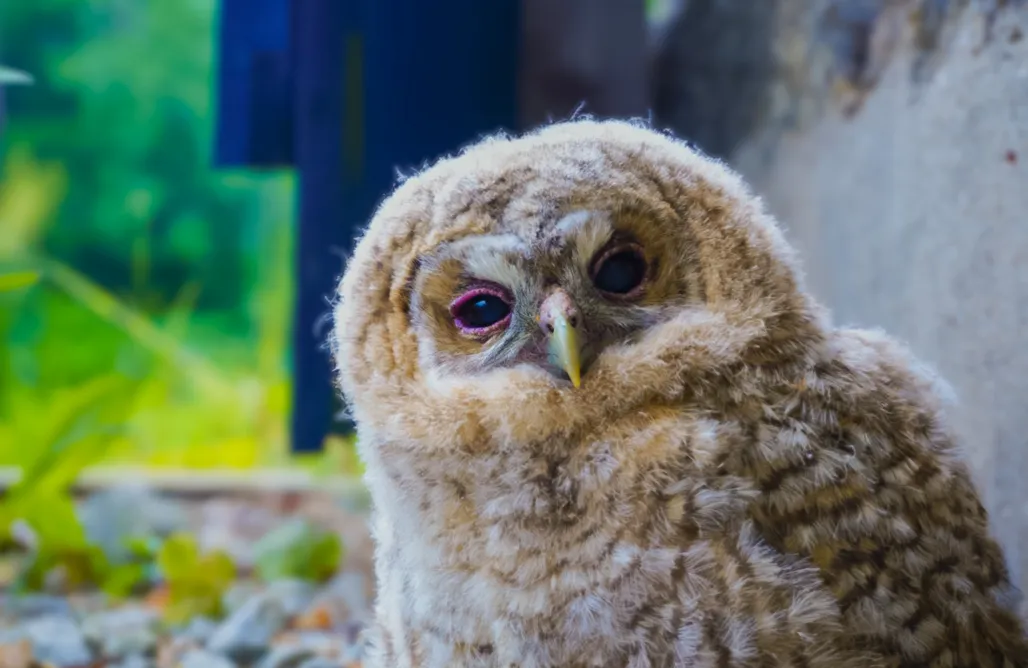 Romantyczny Weekend dla Dwojga Tanio Kwieci - pensjonat slowfood w Górach Izerskich 1