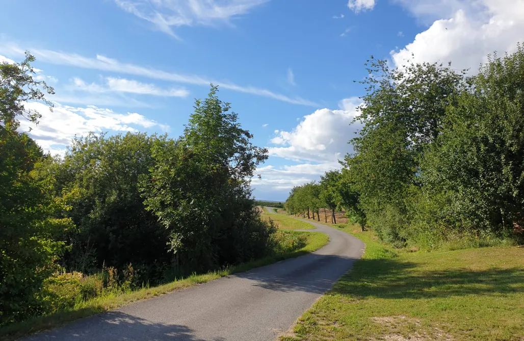Unterkunft AlohaCamp Hüttenzauber am Laumerhof-Hofglück 5