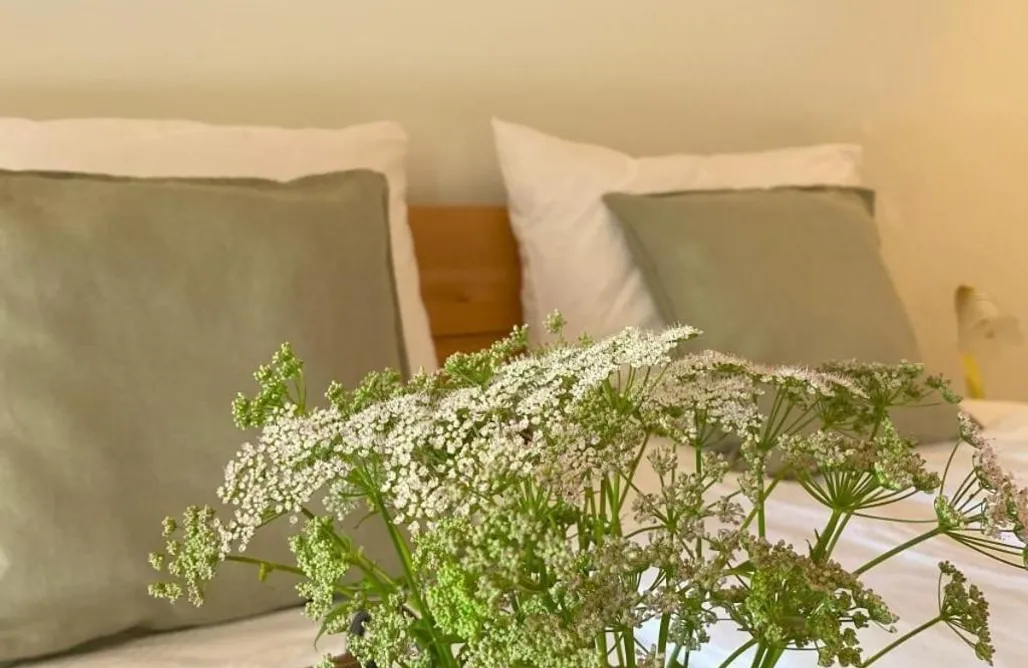 AlohaCamp Zweizimmerhaus 2