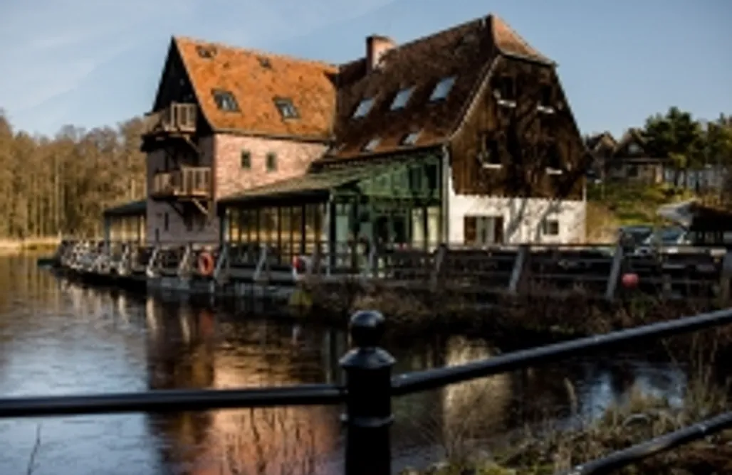 AlohaCamp Zacisze pod Zającem 1