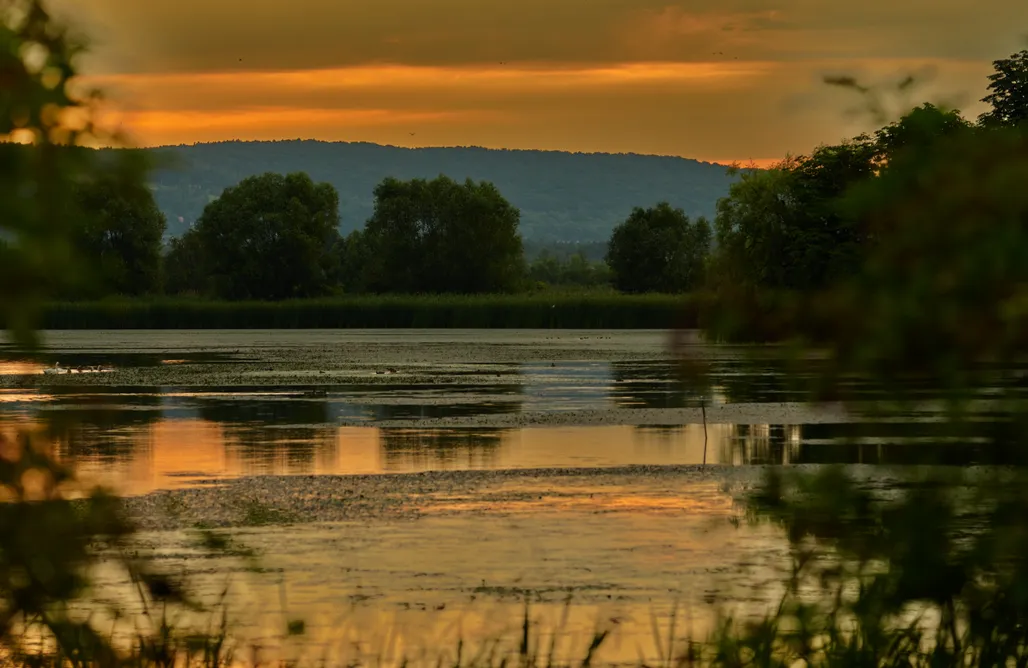 AlohaCamp SUPERIOR VIEW  1