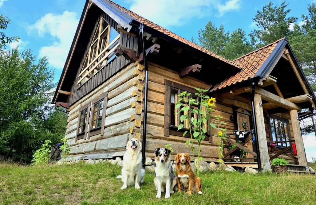 Pokoje Nad Morzem Leśne Lato 3