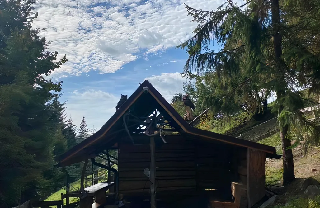 Location Chalet CypiSówka 1