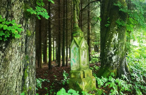 Zdjęcie obiektu Natura Taszów