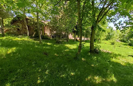 Imagen de Alojamiento Rural Los Tilos 