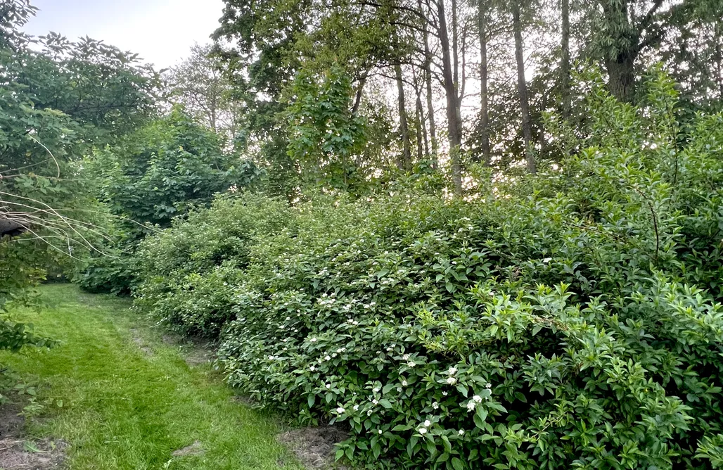 noclegi AlohaCamp Czuję Góry - dom przy szlaku 1