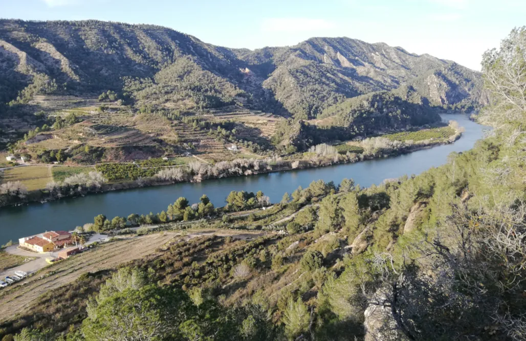 AlohaCamp accommodation El Figueral 1