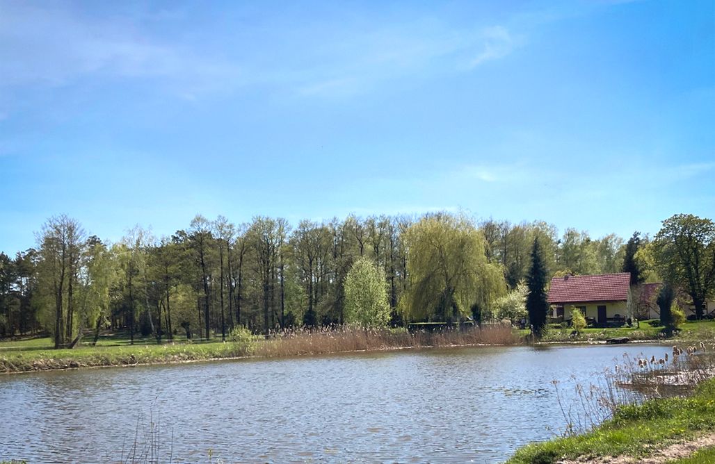 Agroturystyka Kujawsko-Pomorskie Farma Leśna 2