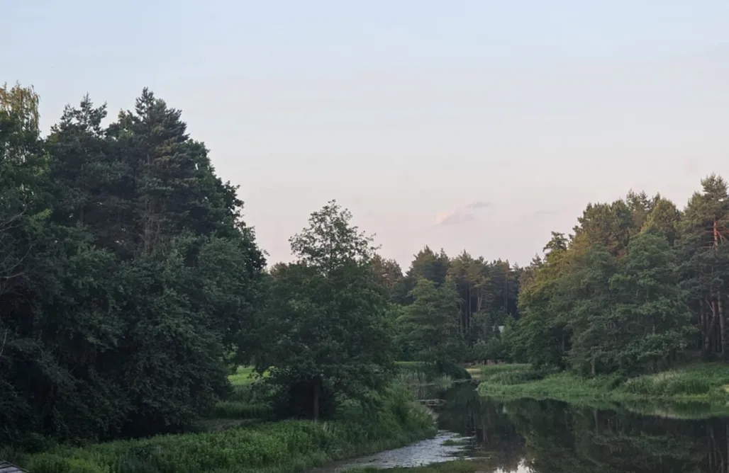 Leśne Zacisze 2 | Domek sauną i balią w cenie AlohaCamp