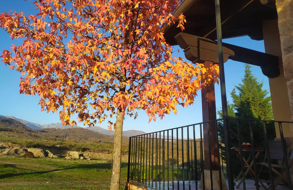 AlohaCamp Alojamiento rural 3 1