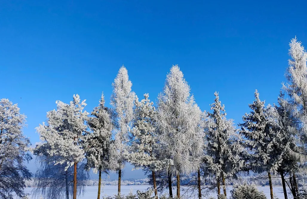 AlohaCamp Dom bez sauny i jacuzzi  1