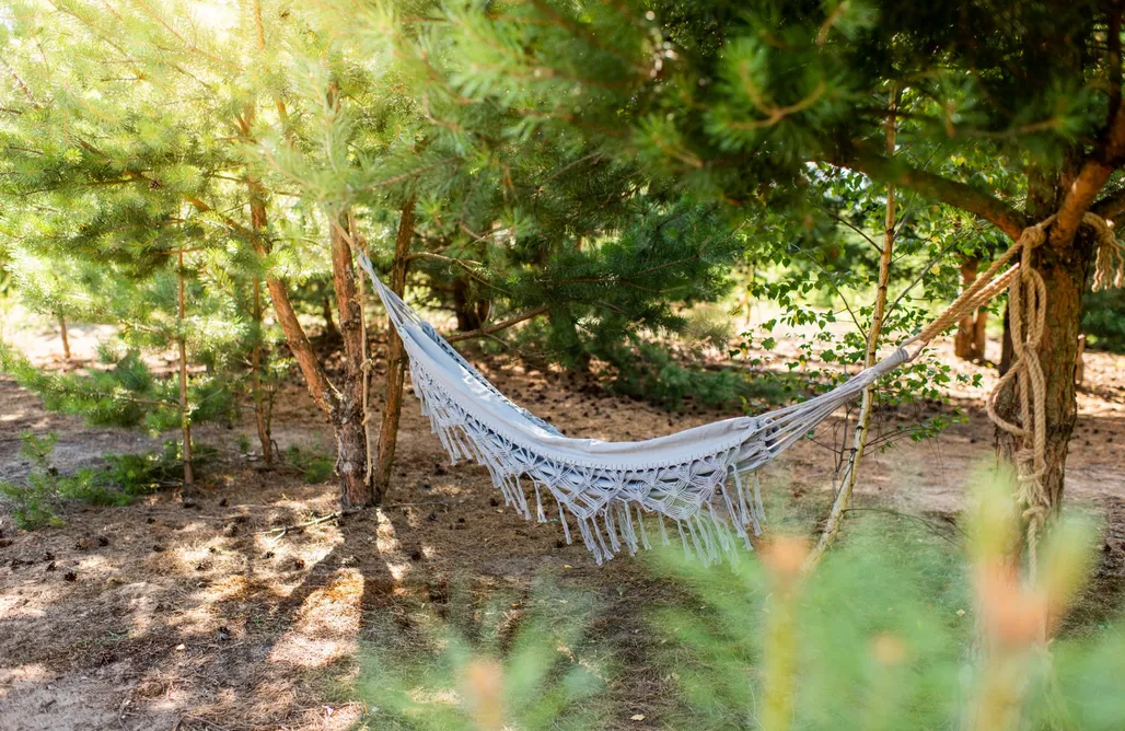 AlohaCamp Powidzka Ostoja 1