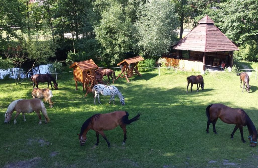 Agroturystyka z Wyżywieniem Miejsce kamperowe i namiotowe - Stajnia Nad Strumykiem 1