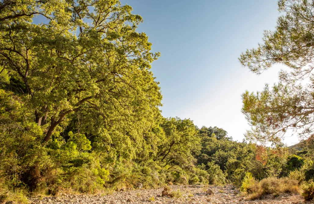 AlohaCamp carrromato de circo 1