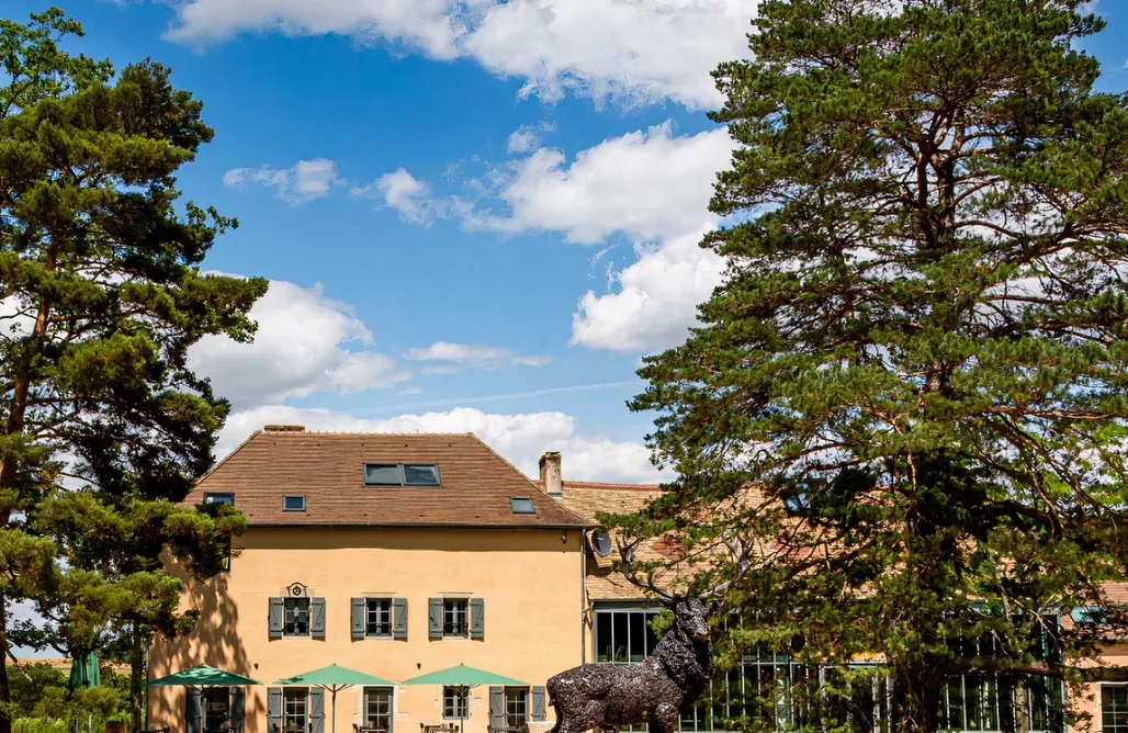 Unterkunft AlohaCamp Hameau des 40 arpents 4