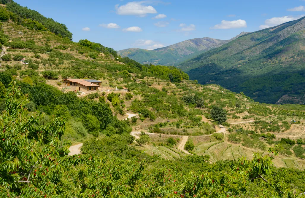 Spa Griñón Eco House Cerrás Agroturismo  3