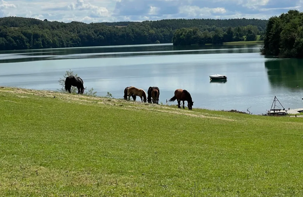 Wakacje Na Kaszubach Restart Kaszuby 1