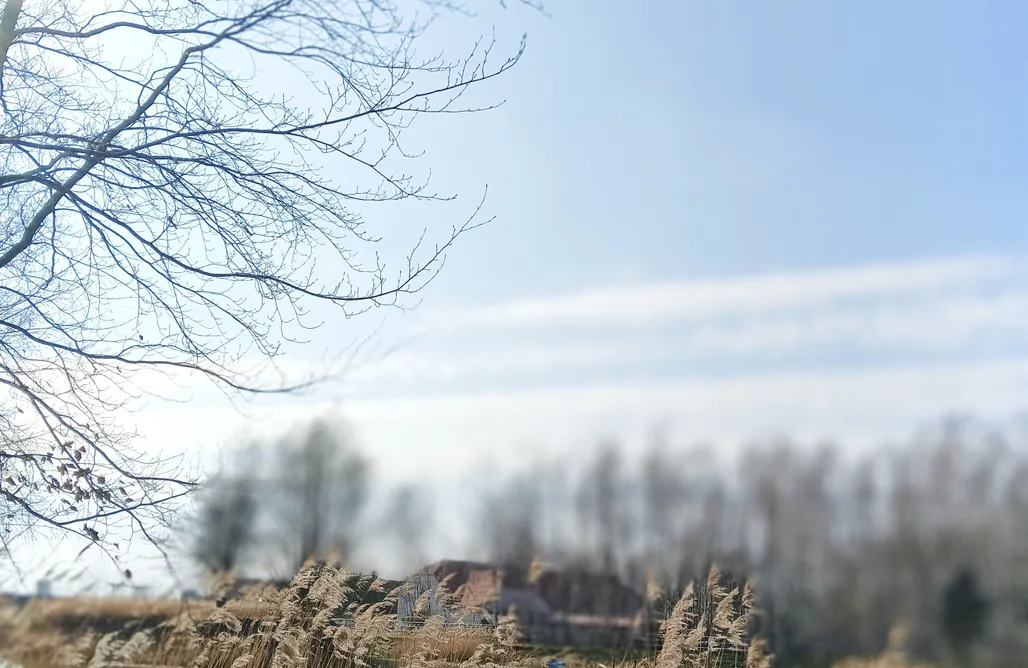 Domki Łódź Gniazdo w Felicjanowie  1