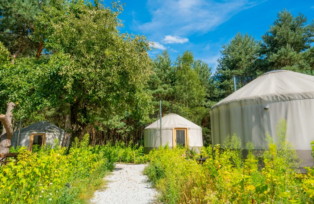 AlohaCamp Yurta Camp 1