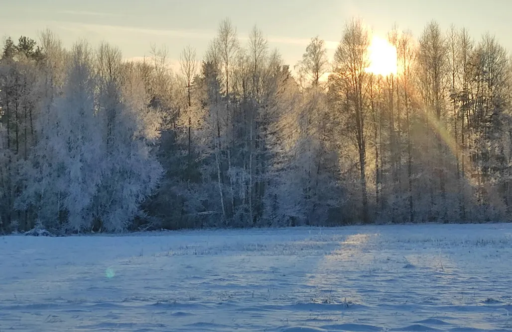 Chałupka na Brodziakach AlohaCamp