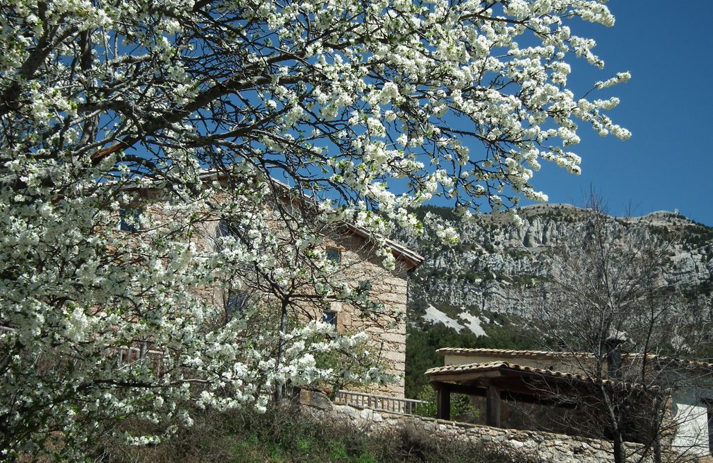 AlohaCamp Masía Pubilló 1 1