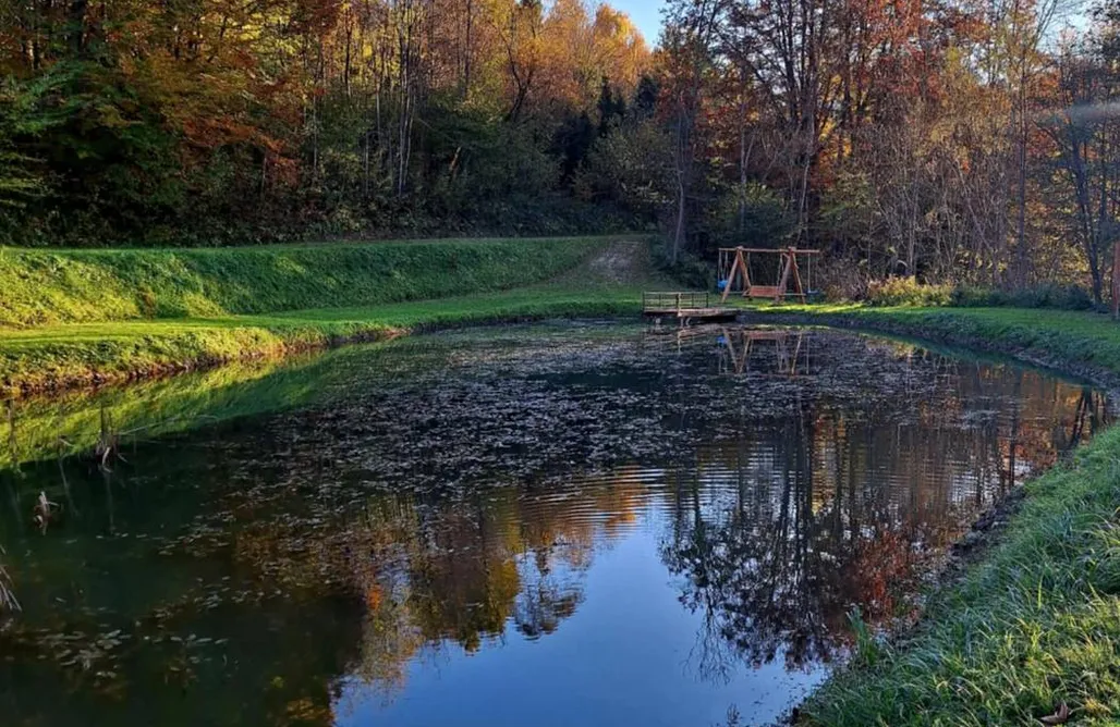Domki Solina Żubrowe Wzgórze Bieszczady  1