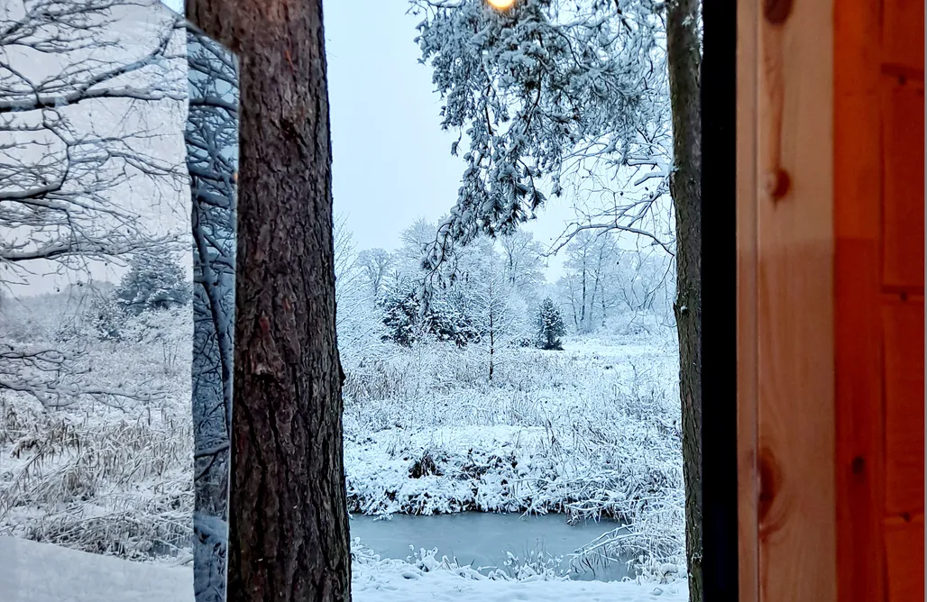 AlohaCamp accommodation Sosnowa Kryjówka 1