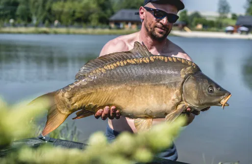 Zdjęcie obiektu Zatylove domki - Olchowy