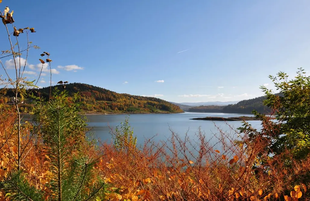 AlohaCamp Dom Pod Lasem 44 1