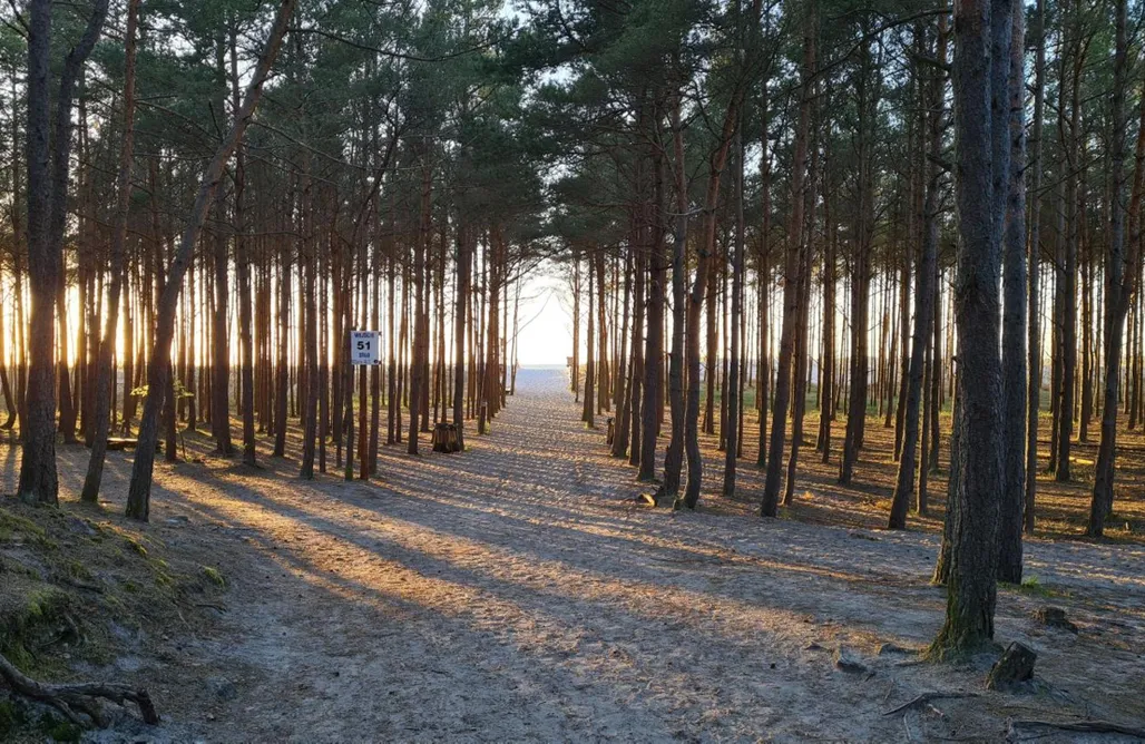 AlohaCamp accommodation Sasinko 5