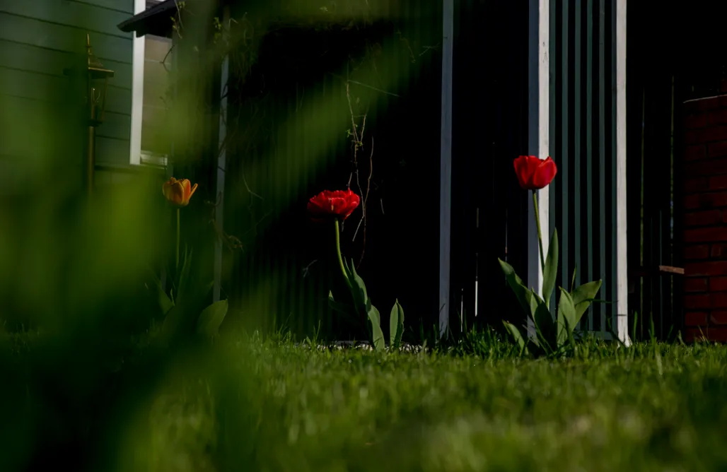 noclegi AlohaCamp Stara Stolarnia - Noclegi 4