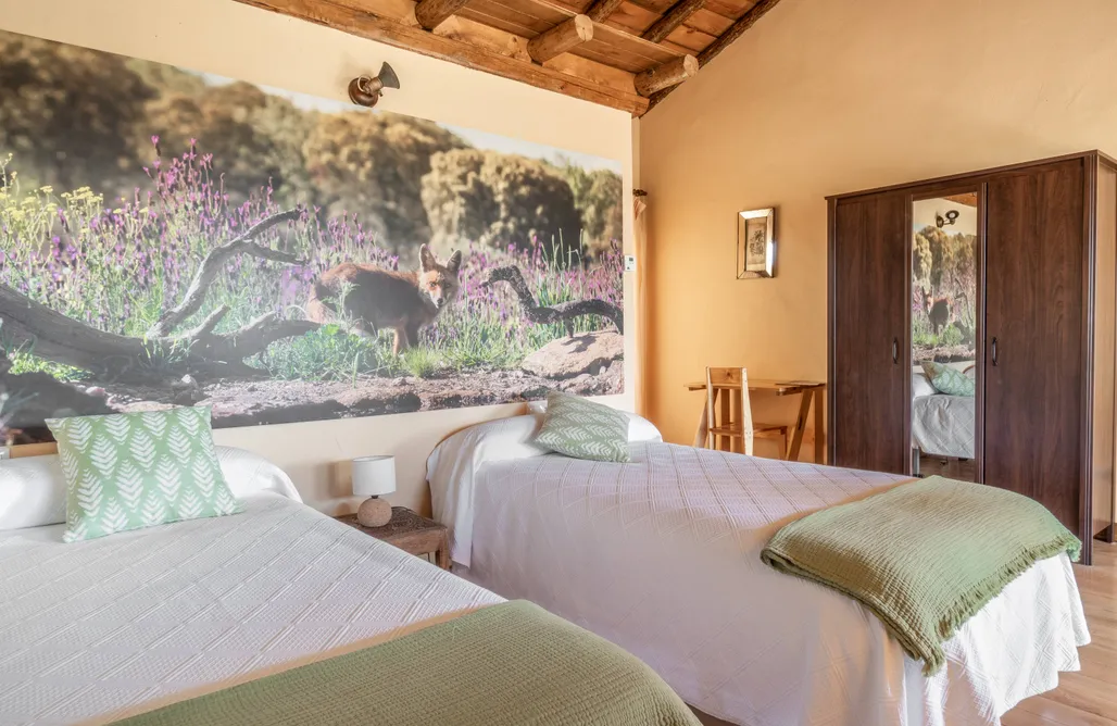 alojamientos AlohaCamp Lodge Campanarios de Azaba 5