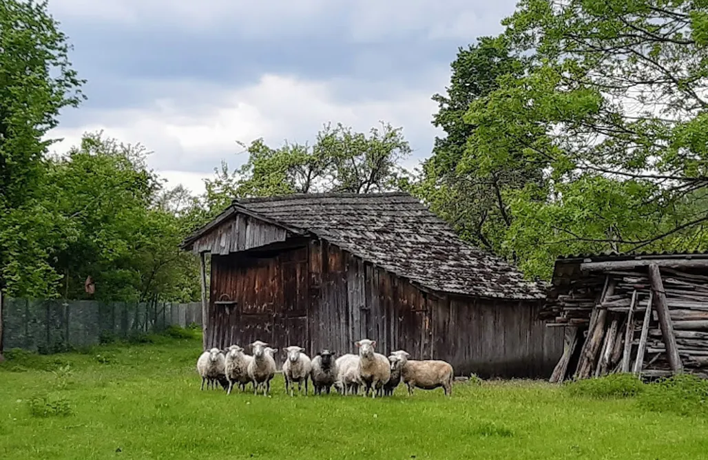 noclegi AlohaCamp Błękitny Ganek- miejsce pod namiot lub kamper 5