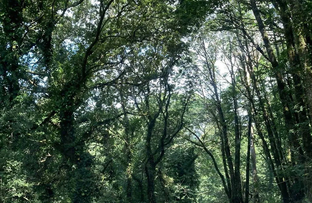 noclegi AlohaCamp Casa Rural o Lar 1