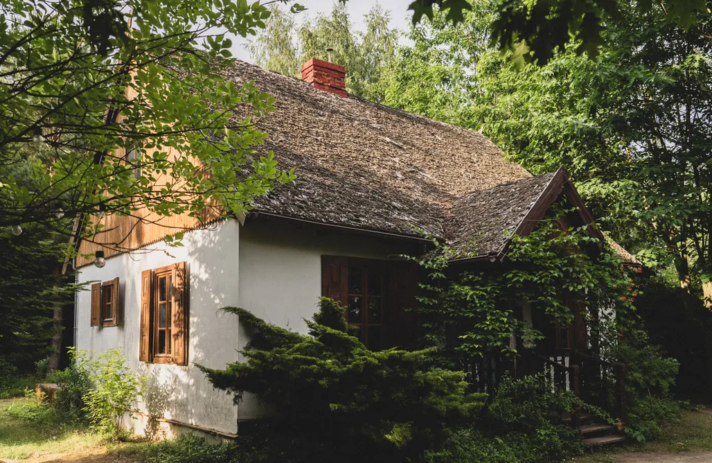 noclegi AlohaCamp Aż pod Las 4