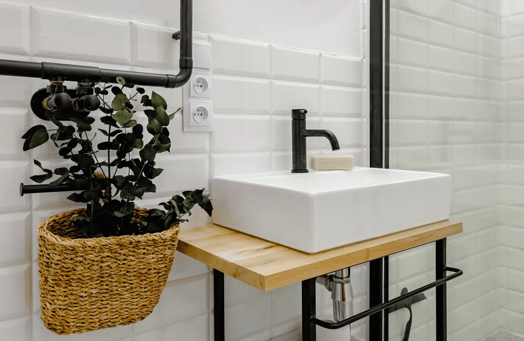 AlohaCamp Apartament z widokiem na łąki 4