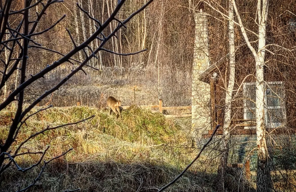 Uroczy Domek na Wzgórzu AlohaCamp